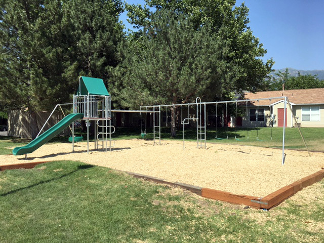 ultimate swing set