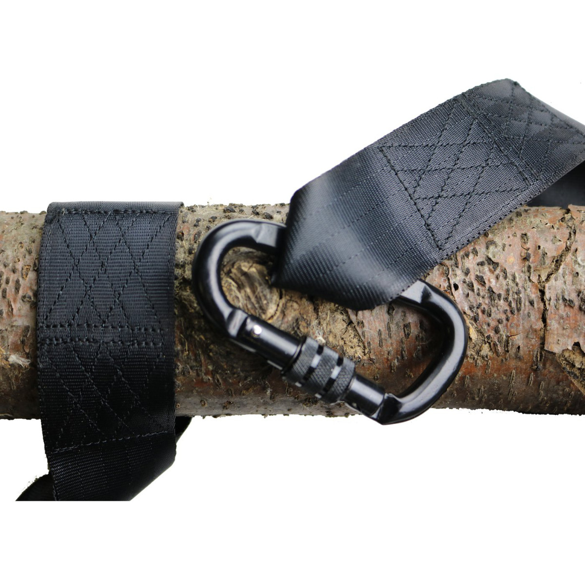 Tree Swing Strap with Carabiner
