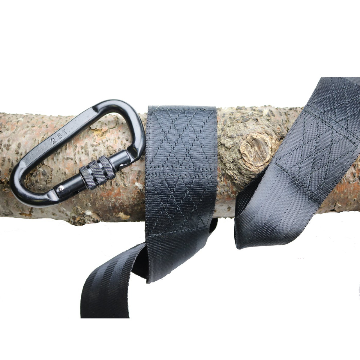  10 ft Tree Swing Strap with Carabiner (MM00149)