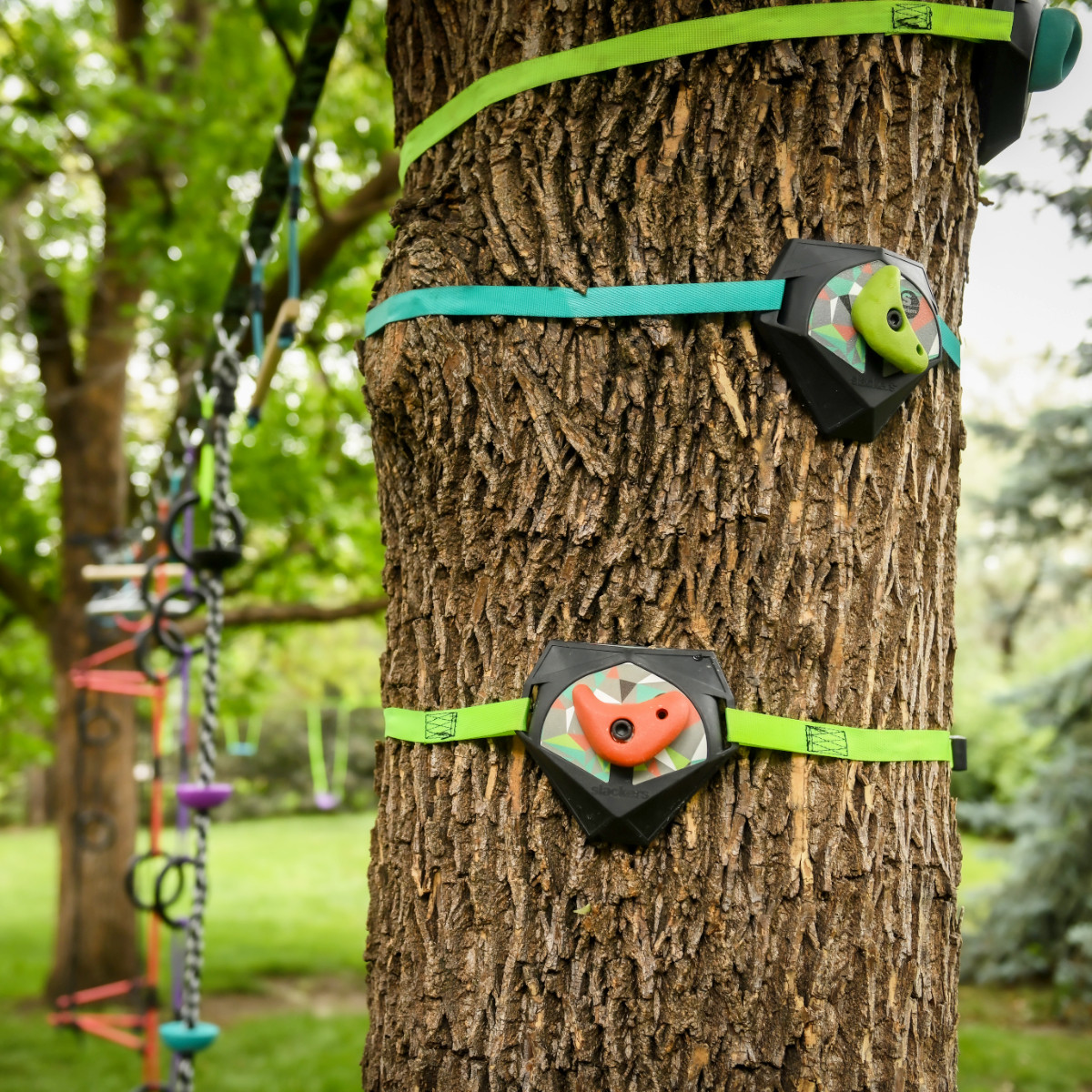 Slackers Tree Climbers Kit (SLA-822)
