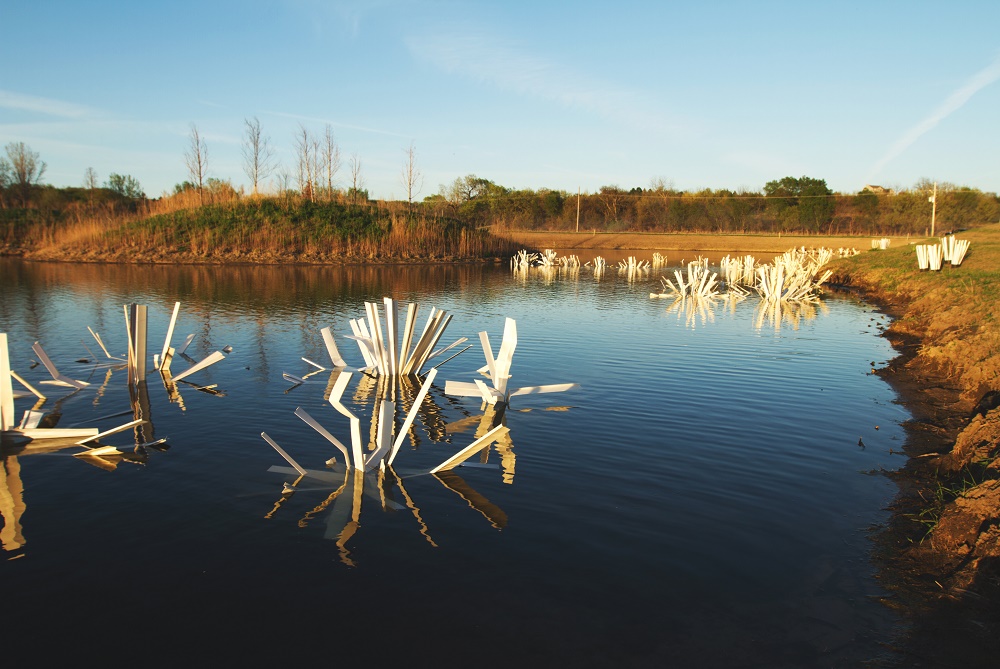 Artificial fish habitat or fish attractors, which do the fish need and