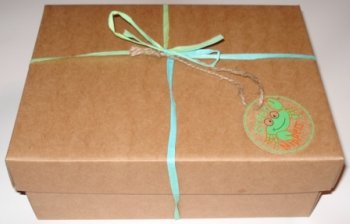 green-nippers-recycled-gift-box.jpg