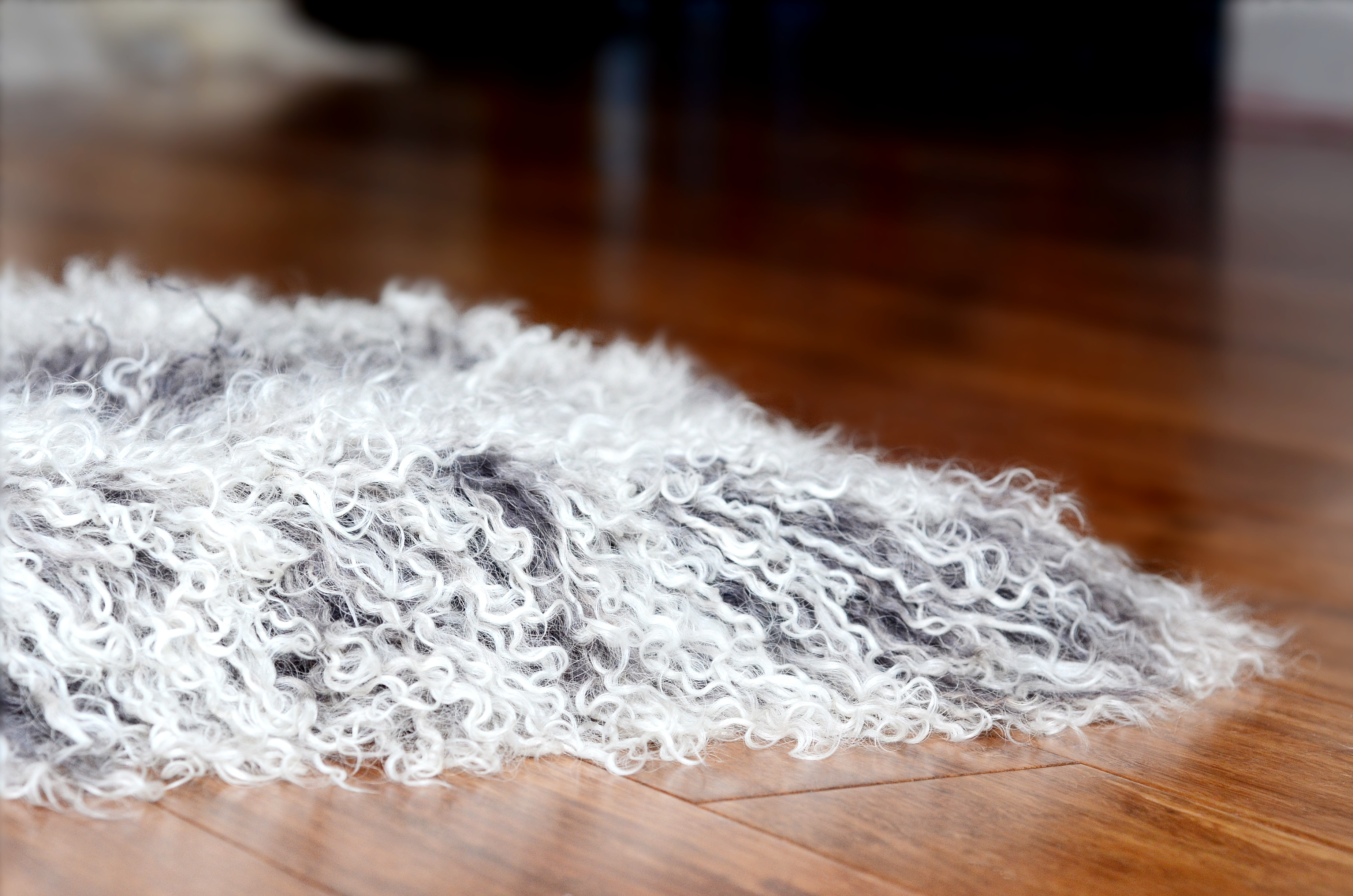 fur-closeup.jpg fur-closeup.jpg