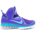 Nike Lebron 9 (GS) - Summit Lake Hornets #472664-500