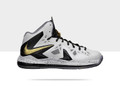 Nike Lebron 10 P.S. Elite+ - Home #579834-100