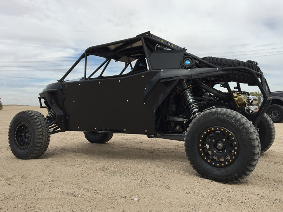Rzr sales buggy chassis
