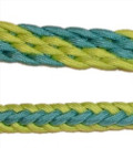 Braided Rein (Sour Apple & Turquoise Ocean)