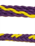 Braided Rein (Purple, Yellow)