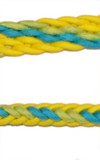 Braided Rein (Yellow, Aqua, Apple)