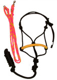 Halter and Rein Set (Pink and Yellow)