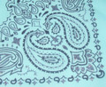 Glitter Paisley Bandana 