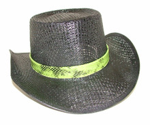 Black snake skin with green band