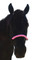 Noseband:  Electric Flamingo Pink and Marshmallow White
Halter: Black
Lead: Black
