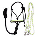 Halter and Rein Set