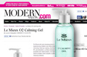 MODERN SALON.COM (August 26, 2013)