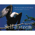 The Eagle: Self-Esteem