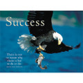 The Eagle: Success