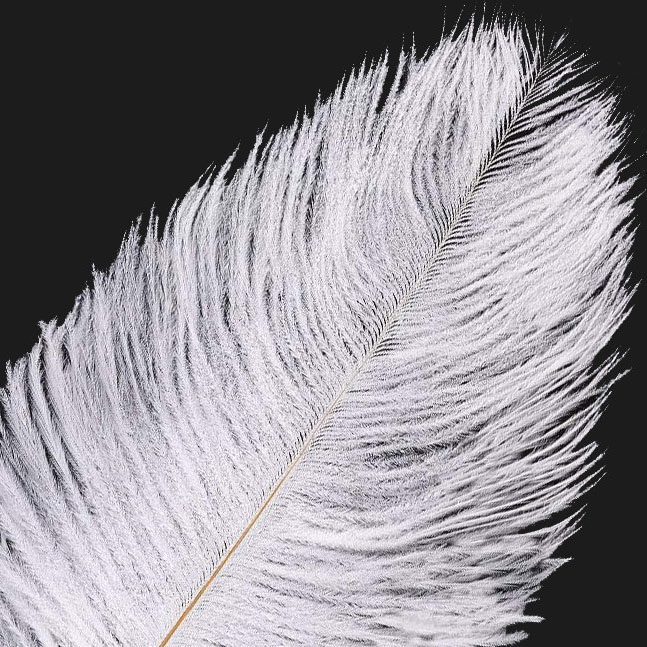 iHUFeather 10pcs White Ostrich Feathers Natural Bulk 14-16Inch 40