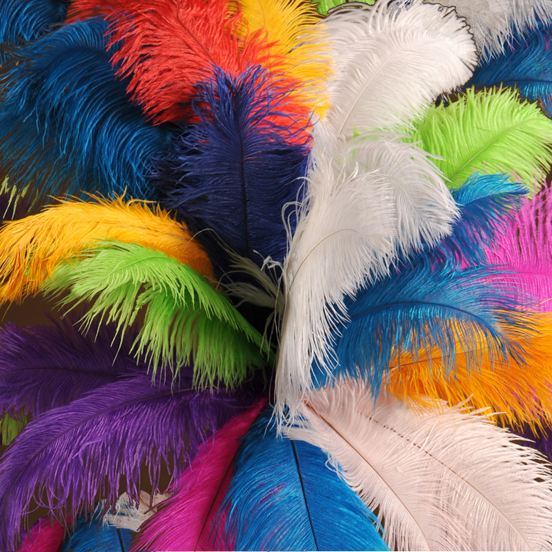 10-100pcs special color ostrich feathers 6-24inches/15-60cm  6 colors Wholesale 