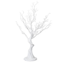 Case of 6 Manzanita Centerpiece Wishing Tree 29" - White