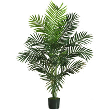 5 Feet Paradise Palm