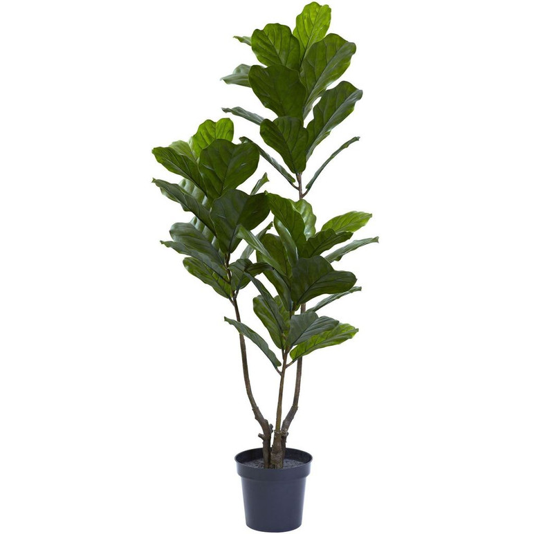 Image 1 Image 1