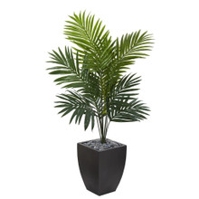 4.5 Feet Kentia Palm Artificial Tree in Black Wash Planter