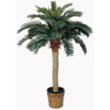 4 Feet Sago Silk Palm Tree
