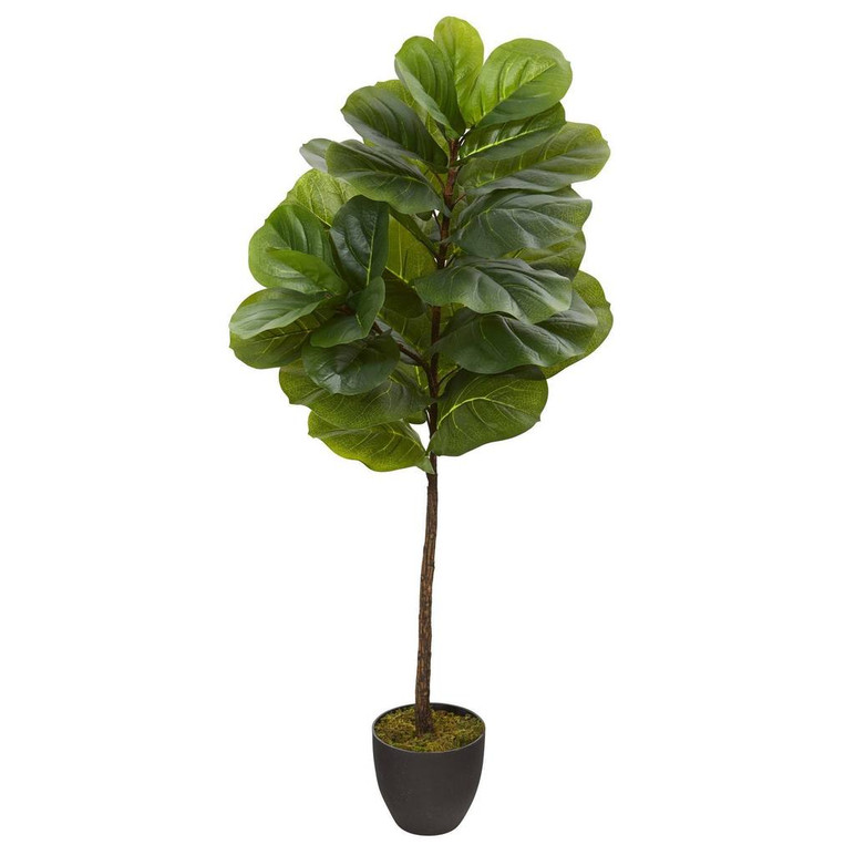 Image 1 Image 1