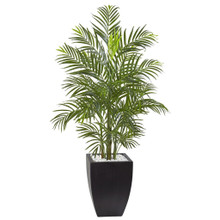 4.5 Feet Areca Palm Tree with Black Wash Planter UV Resistant (Indoor/Outdoor)