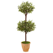 4.5 Feet Olive Topiary Tree in Terracotta Pot