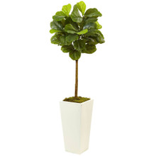 4.5 Feet Fiddle Leaf Fig in White Planter (Real Touch)