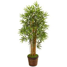 4.5 Feet Bamboo Tree in Coiled Rope Planter