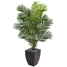 5.5 Feet Paradise Artificial Palm Tree in Black Planter
