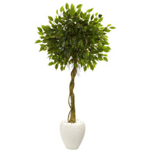 5.5 Feet Ficus Artificial Tree in White Oval Planter UV Resistant (Indoor/Outdoor)
