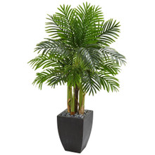 5 Feet Kentia Palm Artificial Tree in Black Planter