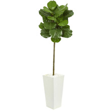 5.5 Feet Fiddle Leaf Artificial Tree in White Tower Planter