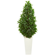 63” Bay Leaf Cone Topiary Artificial Tree in White Planter UV Resistant (Indoor/Outdoor)