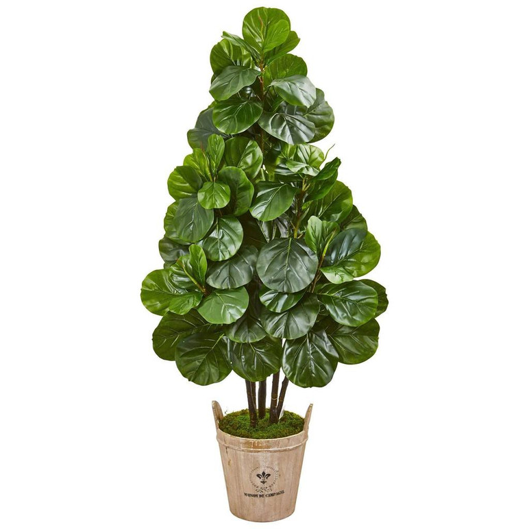 Image 1 Image 1