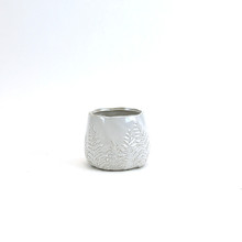 Medium Cream Reactive Ceramic Bowl with Fern Print - 12 Pieces
