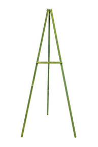 54 Inch Wooden Easel in Green Stained Wood - 12 Pieces