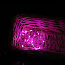 Case of 24 Pink LED String with 20 Rice Lights (comes with 2x CR2032)