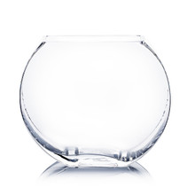6.8 Inch Clear Square Moon Vase - 12 Pieces