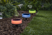 Solar Plastic Pathway Candle w/ Clump Weight - 8 Candles