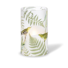 5"D x 8"H Green Fern Design Illumaflame Candle - 6 Candles