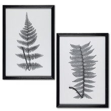 28"H Black & White Fern Art Framed with Glass Pane - 4 Pieces