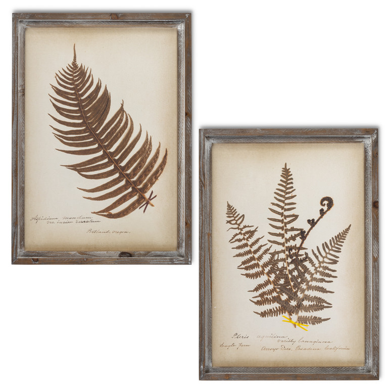 Image 1 Image 1