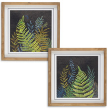 Wood Framed Ferns at Night Wall Art - 2 Pieces
