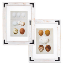 White Frame Egg Wall Art - 2 Pieces