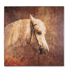 Horse Canvas Wall Art